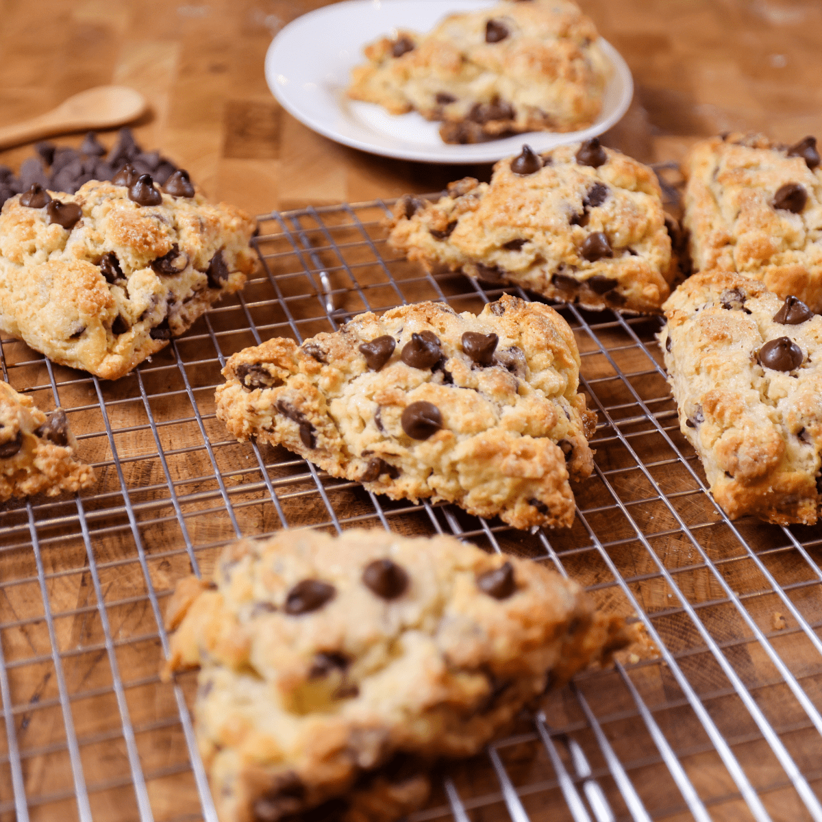 Flakey Sourdough Discard Scones With Chocolate Chips
